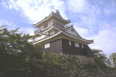 Castillo de Hamamatsu