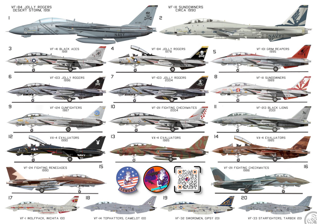 Poster Colores del Tomcat