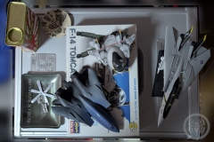 Aero-Party 6 Tomcats